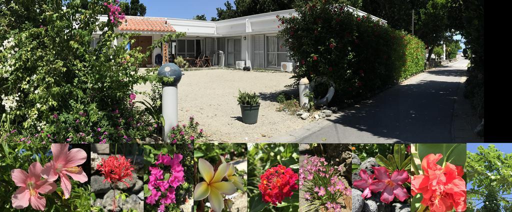 Minshuku Irayoi Ξενοδοχείο Ishigaki  Εξωτερικό φωτογραφία